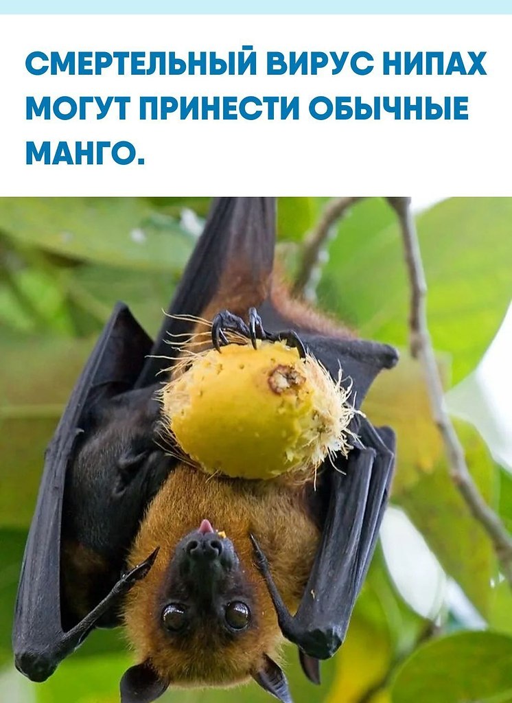 ���e�� ����� pacc�a���a��, ��o �a���� �o� � c�pa�e ���c�p��� c���a� �apa�e��� �oc�e ��o�pe��e��� ...