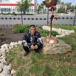 ����, 33 ����, ������