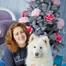 �����, 40 ���, �������