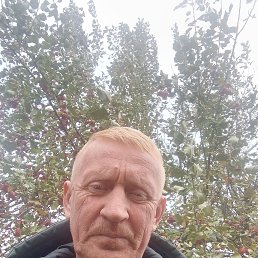 , 55, 