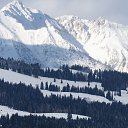 ���� ���, �����-���������, 40 ��� - ��������� 12 ������ 2024 � ������ ���� ����������