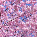 ���� ������, ������ - ��������� 24 ��� 2024