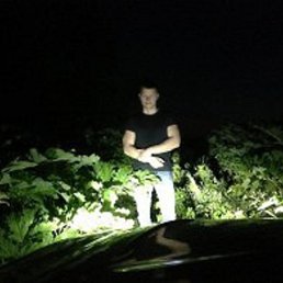 D 123 12345, ������, 46 ���