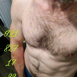 ���� ����, �����-���������, 43 ���� - ��������� 26 ������ 2023