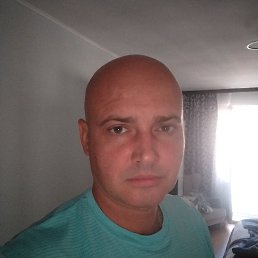 , 42, 