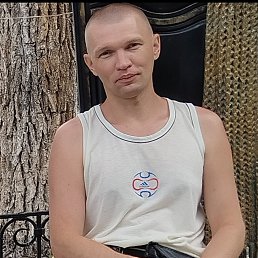 ������, 41 ���, ������