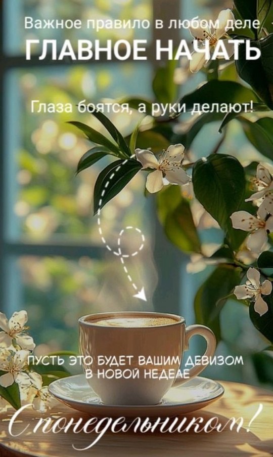   ,    . - 11  2025  21:09