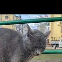 ���� �����, ������, 37 ��� - ��������� 25 ������ 2024 � ������ ���� ����������