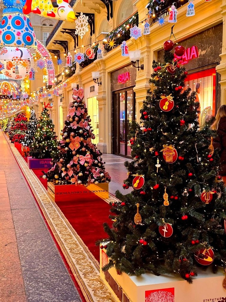 � ���� ��������� �������� ���������� ������.����: �������� ����� - 6