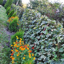 ���� ���������, ������ ��������, 70 ��� - ��������� 27 ������� 2023