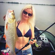 �����, 40 ���, ���������