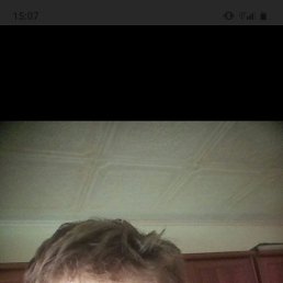 , 29, 