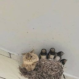 ����, ������, 21 ���
