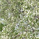 ���� �����, �������, 38 ��� - ��������� 17 ������� 2026 � ������ ���� ����������