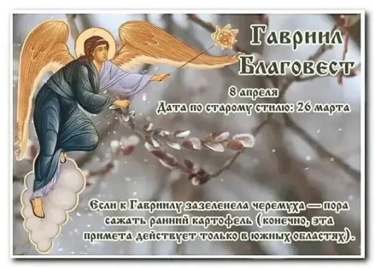 8 апреля - Гавриил Благовест. —————————————— Дата по старому стилю: 26 марта. Покровитель дня – ...