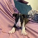 ���� �����, ������, 52 ���� - ��������� 7 ������� 2026 � ������ ������ ��������