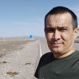 , 43, 