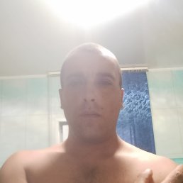 , 41, 