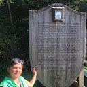 ���� �����, ������, 55 ��� - ��������� 17 ������ 2026 � ������ ���� ����������