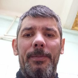 ����, ���������, 43 ����