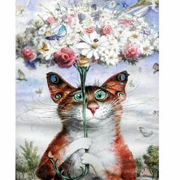 �����, ������, 26 ���