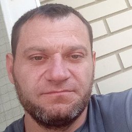 ����, ������, 41 ���