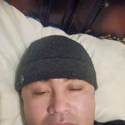 �����, 33 ����, ������