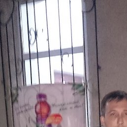 ����, ������������, 44 ����