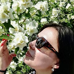 ����, ������, 39 ���