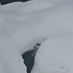 ��������, �����, 64 ����