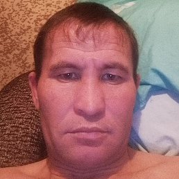 �����, ��������, 40 ���