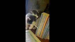 ������� �����, ��� � ����!