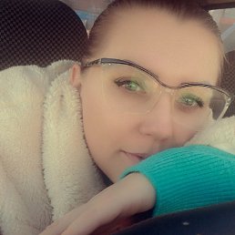 ����, 41 ���, ���������