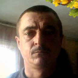 �������, ������, 55 ���