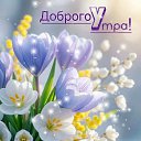 ���� �������, ���� - ��������� 22 ������ 2026 � ������ ������ ��������
