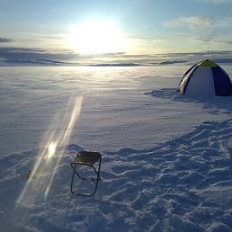 ���� ���, ������������ - ��������� 24 ������ 2025