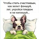 ���� ������ =^..^=, ������ - ��������� 2 ������� 2023 � ������ ������ ��������