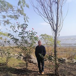 ������, �������