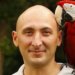 Maikl, �����, 38 ���