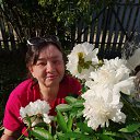 ���� �������, �����, 60 ��� - ��������� 14 ������� 2025