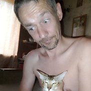 �����, 40 ���, ����������
