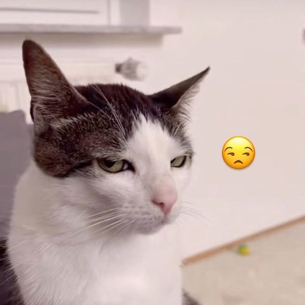 ����� ����� ������� ��? - 7