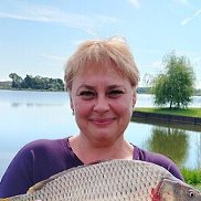 �����, 54 ����, �����