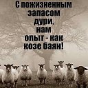 ���� ����, ����������, 58 ��� - ��������� 10 ����� 2025 � ������ ���� ����������