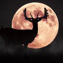 ���� ������, ���������� - ��������� 30 ���� 2026 � ������ ������ ��������