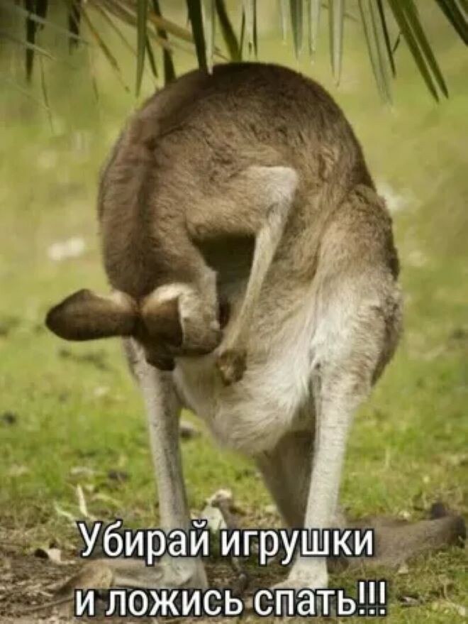 ОБО ВСЕМ - 6 октября 2025 в 21:49