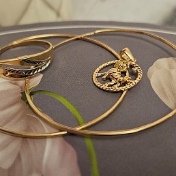 �������, �����-���������, 43 ����