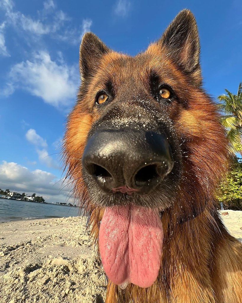 ��� ��� ������� ���� �� ����� - 5