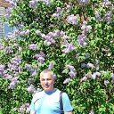 ���� ��������, �����-���������, 54 ���� - ��������� 15 ������� 2026 � ������ ���� ����������