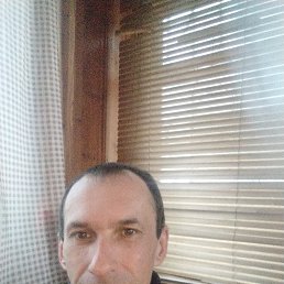 �����, 42 ����, �������